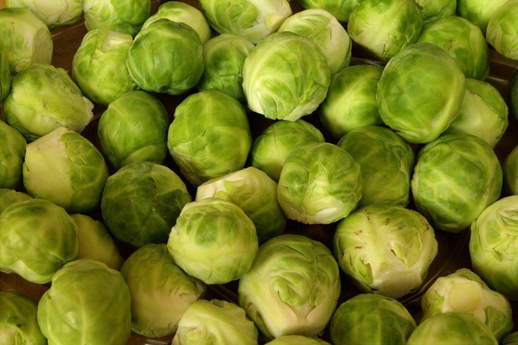 vegetable-brussel-sprouts