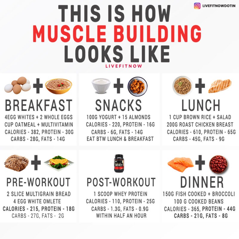 imuscle building diets